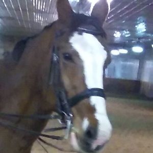 Meet your Posher, Melissa